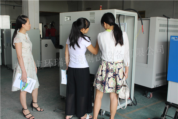 對正在行產的恒溫恒濕箱進行查看